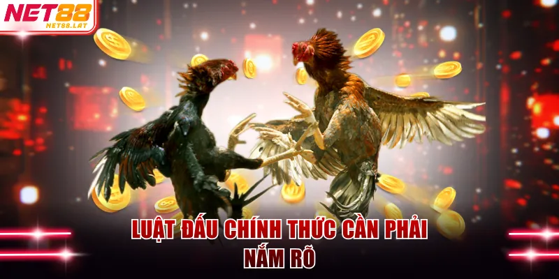Đá Gà Thomo - Đấu Trường Quy Tụ Chiến Kê Top 1 Tại NET88 3 Luật đấu chính thức cần phải nắm rõ