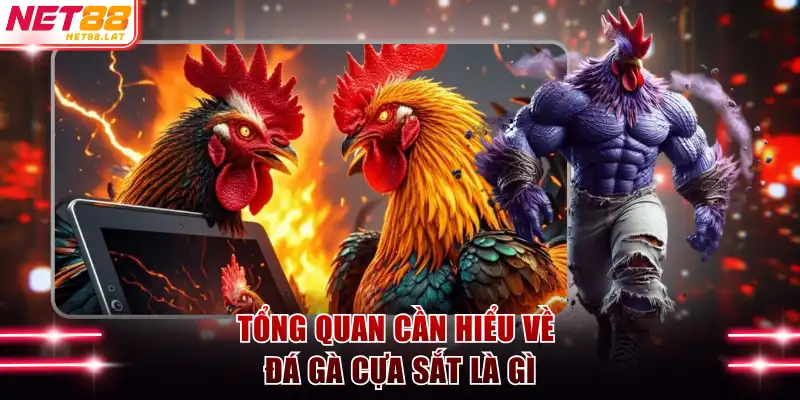 Đá Gà Cựa Sắt - Cơ Hội Chiến Thắng Lớn Với Hội Viên NET88 2 Tổng quan cần hiểu về đá gà cựa sắt là gì